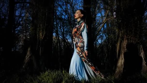 Young Model Long Blue Silk Dress Multicolored Cover Walks Trees — Stock Video