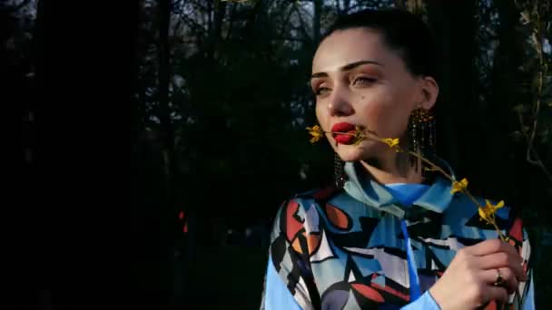 Ipek Elbise Parlak Makyaj Ile Mükemmel Bayan Gün Batımı Closeup — Stok video