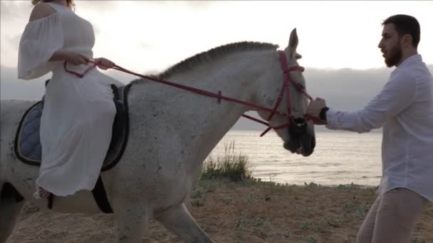 Barbudo Hombre Camisa Blanca Lleva Gris Travieso Caballo Pedigreed Con — Vídeo de stock