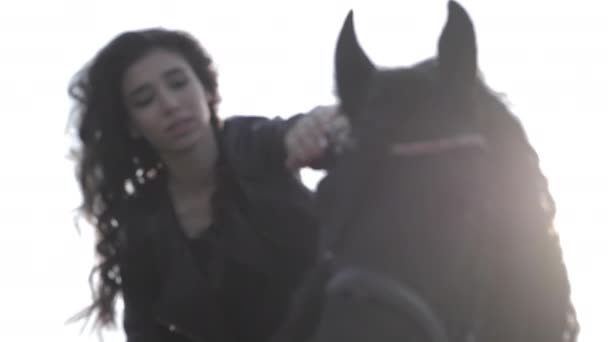 Hermosa sonriente dama en chaqueta mascotas negro caballo lento — Vídeo de stock