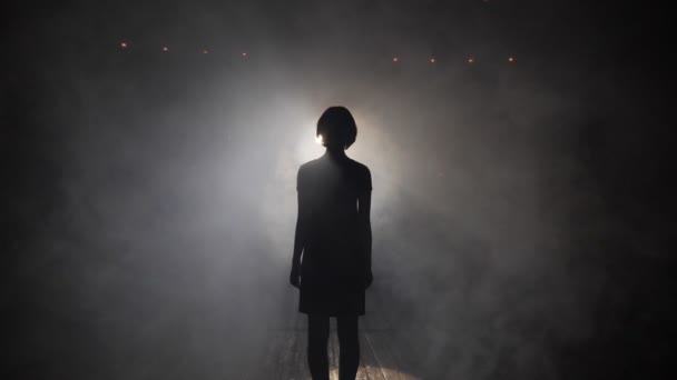 Silhouette of lady with haircut looking at light slow motion — Stock Video