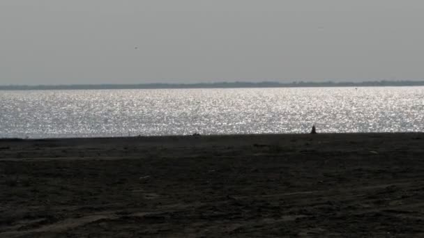 Błękitne morze woda świeci i błyszczy w letnim słońcu zbliżenie — Wideo stockowe