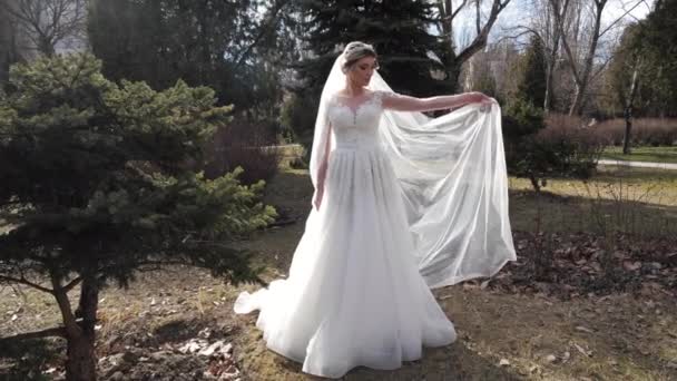 Όμορφη νύφη σε κομψό φόρεμα δείχνει απαλό πέπλο στο πάρκο — Αρχείο Βίντεο