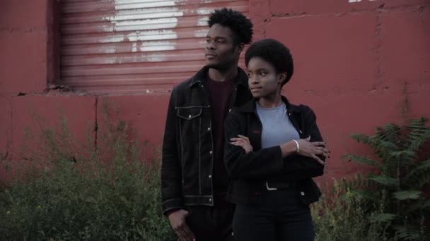 古い赤の建物の近くに魅力的なアフリカ系アメリカ人のカップル — ストック動画
