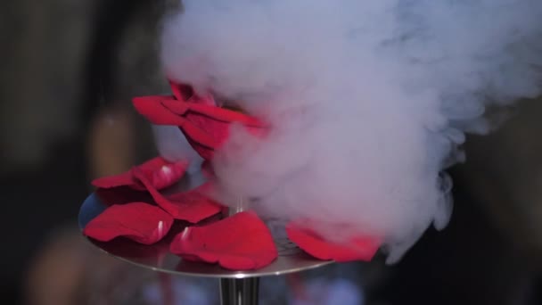 浓密的白烟覆盖着红色和玫瑰色的花冠 — 图库视频影像