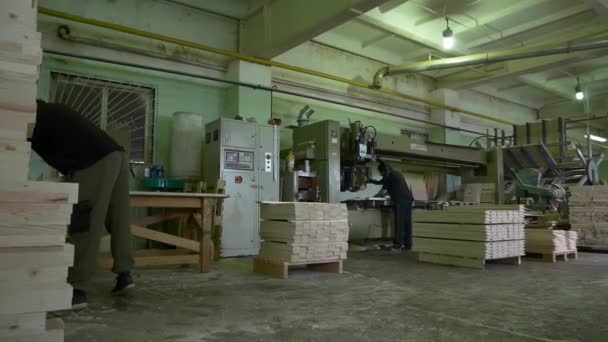 Työntekijät käsittelevät puulevyjä työstökonein työpajassa — kuvapankkivideo