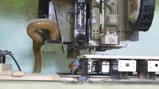 Equipo automático taladra agujeros para tornillos en piezas de madera — Vídeos de Stock