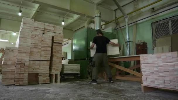 Laboratör bearbetar trädetaljer med polermaskin — Stockvideo
