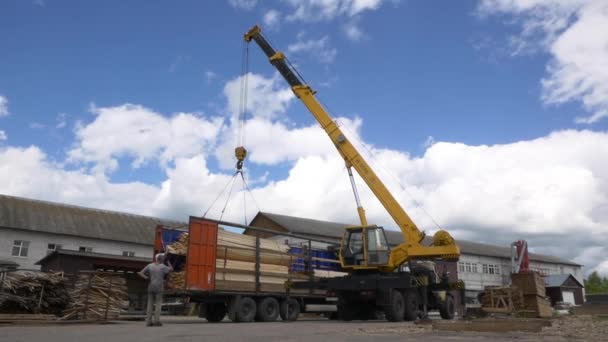 Guindaste levanta placas de madeira pilha de caminhão no quintal da planta — Vídeo de Stock