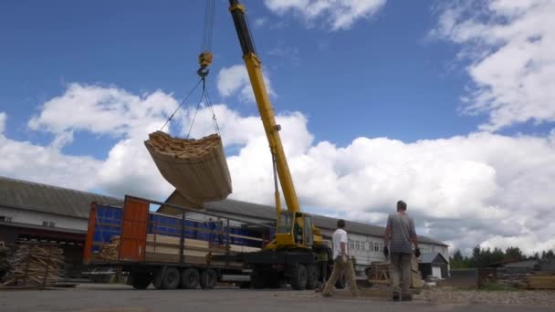 Γερανός μεταφέρει ξύλινες σανίδες υπό τον έλεγχο των εργαζομένων στο ναυπηγείο — Αρχείο Βίντεο