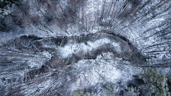 Zamrzlé jezero v zimním lese. Letecká fotografie s Kvadrokoptéra — Stock fotografie