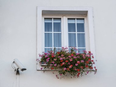 Güvenlik kameraları binanın penceresinde çiçek penceresiyle yakınındaki