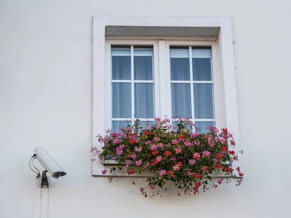 surveillance cameras on the window of the building near the window with flowers