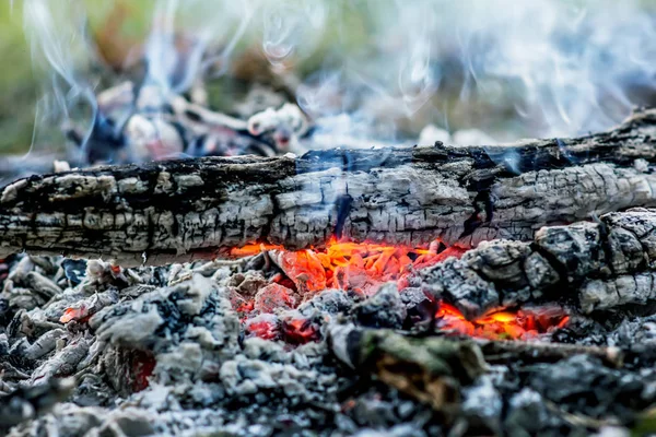 Ateşe kömür — Stok fotoğraf