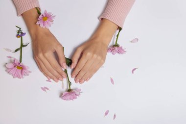 Moda sanat cilt eller ve kadınların elinde pembe çiçekler