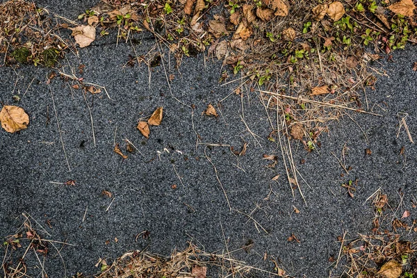 Grauer Herbst Hintergrund Mit Gelben Blättern — Stockfoto