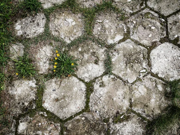 Cobblestones Grass — Stock Photo, Image