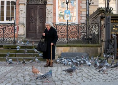 eski büyükanne güvercinler eski şehir sokaklarında beslenir.
