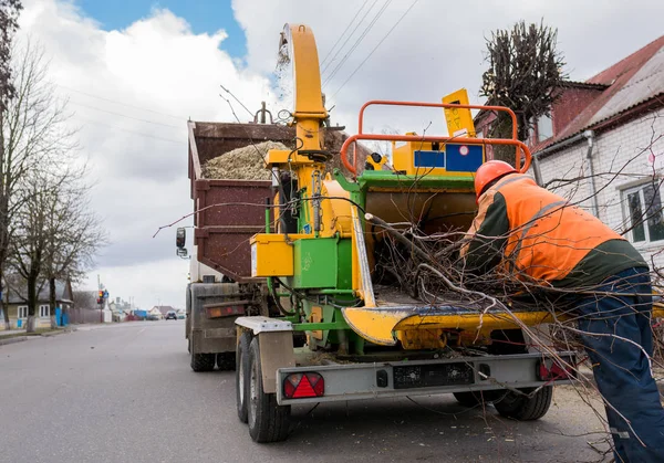 Trabalhador colocando galhos de árvore em um caminhão chipper . — Fotografia de Stock