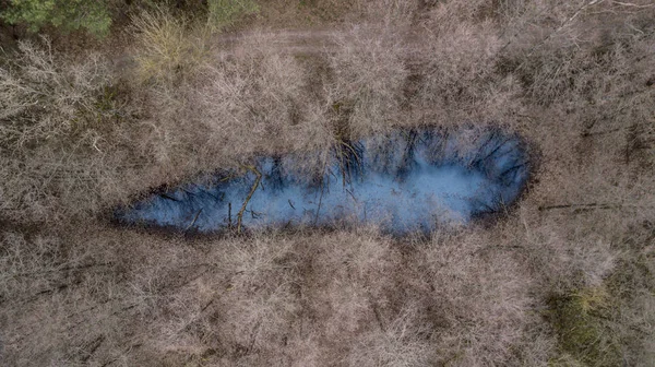 Modré jezero na horním okraji lesa — Stock fotografie
