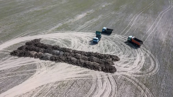 Caminhões carregam no campo do fertilizante orgânico com drone de fotografia aérea. Agricultura — Fotografia de Stock