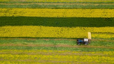 bir drone ile biçme kolza traktör hava fotoğrafçılığı