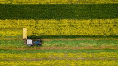 Döner biçme makinesi olan bir traktör kullanarak çim biçen bir çiftçi. 