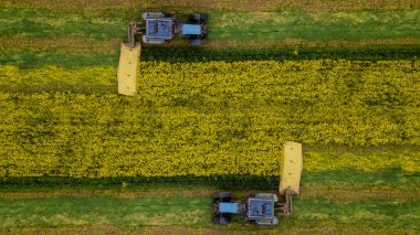bir drone ile biçme kolza traktör hava fotoğrafçılığı