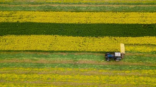 Rapsrasen-Traktor Luftaufnahmen mit einer Drohne — Stockfoto