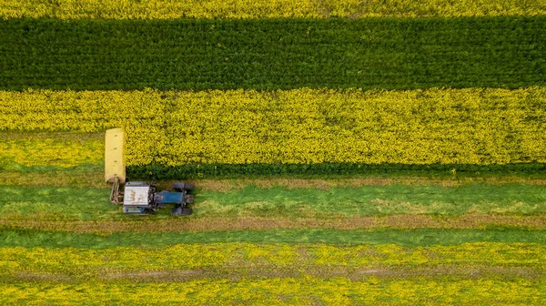 Ein Landwirt mäht Gras mit einem Traktor mit einem Kreiselmäher. — Stockfoto