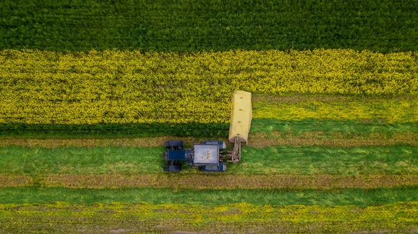 Rapsrasen-Traktor Luftaufnahmen mit einer Drohne — Stockfoto