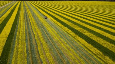 sarı-yeşil tecavüz alanında traktör