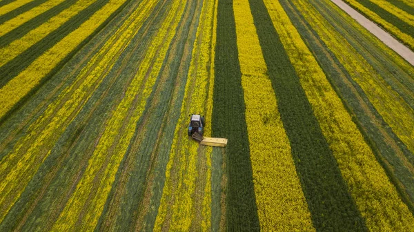 sarı-yeşil tecavüz alanında traktör