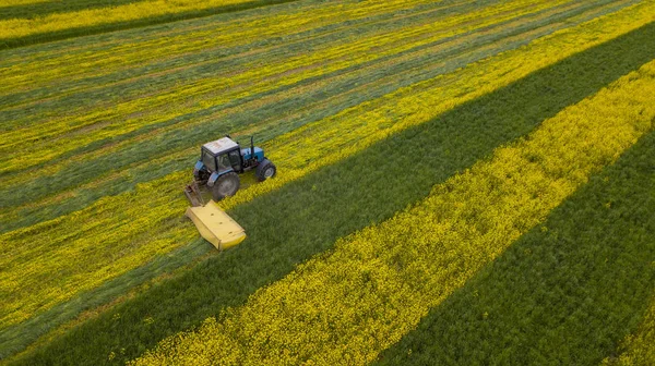 Ciągnik kosi żółty rzepak widok pola z Drone — Zdjęcie stockowe