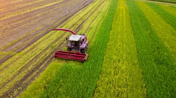Rode Harvester schudt het groene veld luchtfoto — Stockfoto