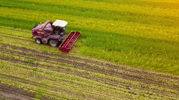 Czerwony kombajn trzęsie zielone pole lotnicze zdjęcie — Zdjęcie stockowe