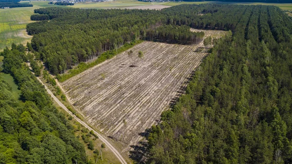 Vista deforestazione illegale dal drone — Foto Stock