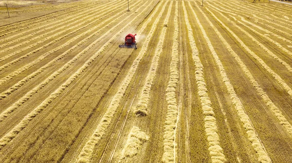 Roterntemaschine auf dem Feld beim Roggen ernten — Stockfoto