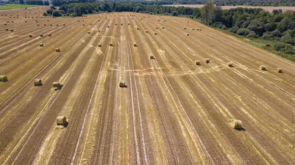 Скошенная пшеничная полевая аэрофотосъемка с беспилотником — стоковое фото