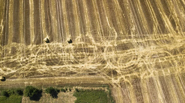Fotografia aérea de campo de trigo chanfrado com drone — Fotografia de Stock