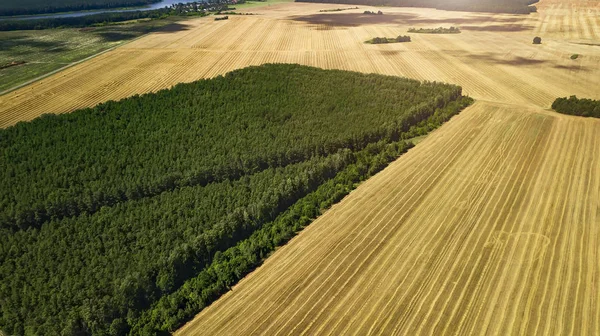 Green and yellow fields view from above with drone — Stock Photo, Image