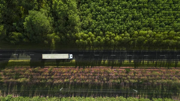 Caminhão dirigindo ao longo de uma estrada de floresta vista aérea de um drone — Fotografia de Stock