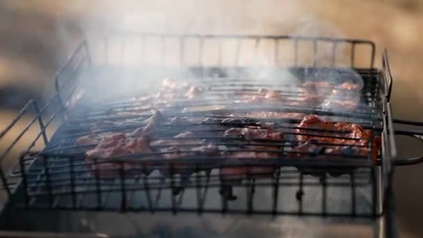 Heerlijk Vlees Wordt Gebakken Barbecue — Stockvideo