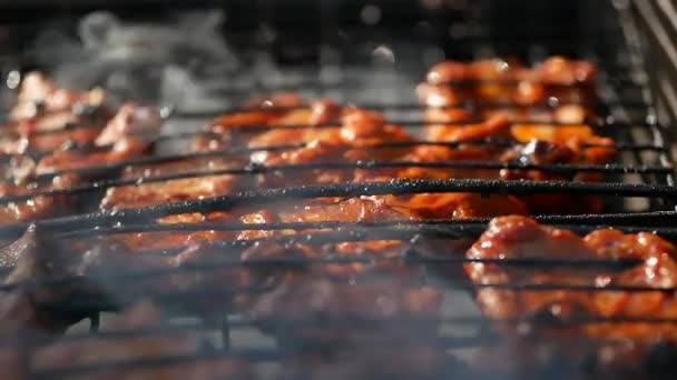 Leckeres Fleisch Wird Auf Dem Grill Gebraten — Stockvideo