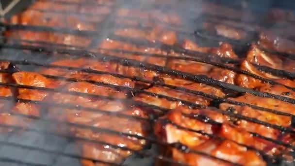 美味的肉在烤肉上煎 — 图库视频影像