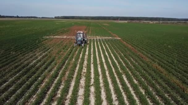 Tractor Sprayer Handles Green Wheat Field — Stock Video