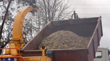 Ahşap neşeli makine rendelenmiş ormana kaldırmak için kamyon neşeli makineye serbest