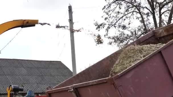 Machine Déchiquetage Bois Libérant Les Bois Déchiquetés Dans Une Machine — Video