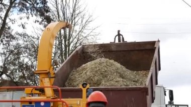 Ahşap neşeli makine rendelenmiş ormana kaldırmak için kamyon neşeli makineye serbest