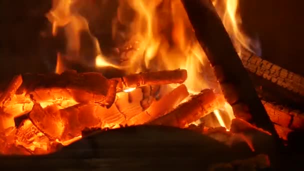 Burning Fire Fireplace — Stock Video